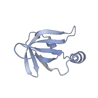 20056_6ogf_v_v1-2
70S termination complex with RF2 bound to the UGA codon. Partially rotated ribosome with RF2 bound (Structure III).