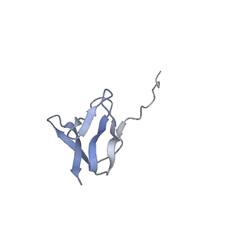 20056_6ogf_w_v1-1
70S termination complex with RF2 bound to the UGA codon. Partially rotated ribosome with RF2 bound (Structure III).