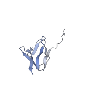 20056_6ogf_w_v1-2
70S termination complex with RF2 bound to the UGA codon. Partially rotated ribosome with RF2 bound (Structure III).