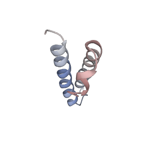 20056_6ogf_y_v1-2
70S termination complex with RF2 bound to the UGA codon. Partially rotated ribosome with RF2 bound (Structure III).