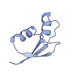 20056_6ogf_z_v1-2
70S termination complex with RF2 bound to the UGA codon. Partially rotated ribosome with RF2 bound (Structure III).