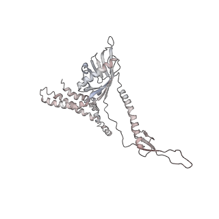 20057_6ogg_8_v1-1
70S termination complex with RF2 bound to the UGA codon. Rotated ribosome with RF2 bound (Structure IV).