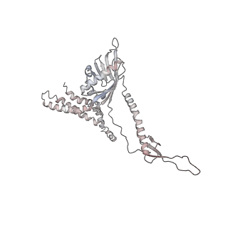 20057_6ogg_8_v1-2
70S termination complex with RF2 bound to the UGA codon. Rotated ribosome with RF2 bound (Structure IV).