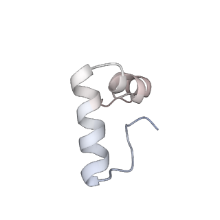 20057_6ogg_D_v1-2
70S termination complex with RF2 bound to the UGA codon. Rotated ribosome with RF2 bound (Structure IV).