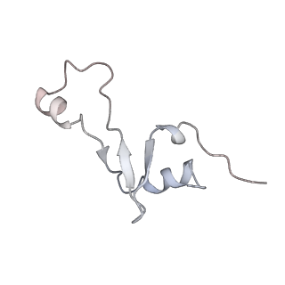 20057_6ogg_E_v1-2
70S termination complex with RF2 bound to the UGA codon. Rotated ribosome with RF2 bound (Structure IV).