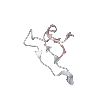 20057_6ogg_F_v1-2
70S termination complex with RF2 bound to the UGA codon. Rotated ribosome with RF2 bound (Structure IV).