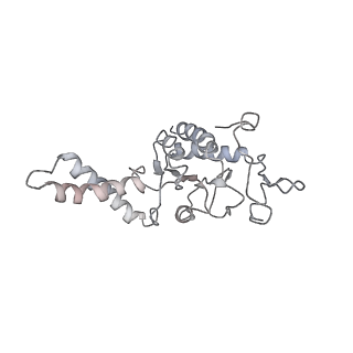 20057_6ogg_G_v1-2
70S termination complex with RF2 bound to the UGA codon. Rotated ribosome with RF2 bound (Structure IV).