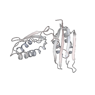 20057_6ogg_H_v1-2
70S termination complex with RF2 bound to the UGA codon. Rotated ribosome with RF2 bound (Structure IV).