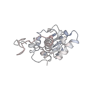 20057_6ogg_I_v1-2
70S termination complex with RF2 bound to the UGA codon. Rotated ribosome with RF2 bound (Structure IV).