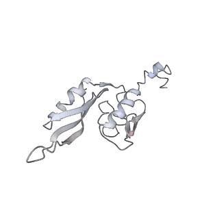 20057_6ogg_J_v1-2
70S termination complex with RF2 bound to the UGA codon. Rotated ribosome with RF2 bound (Structure IV).