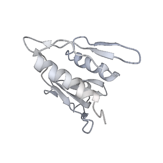 20057_6ogg_M_v1-2
70S termination complex with RF2 bound to the UGA codon. Rotated ribosome with RF2 bound (Structure IV).