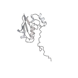 20057_6ogg_N_v1-2
70S termination complex with RF2 bound to the UGA codon. Rotated ribosome with RF2 bound (Structure IV).