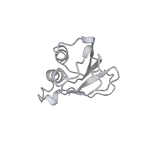 20057_6ogg_P_v1-2
70S termination complex with RF2 bound to the UGA codon. Rotated ribosome with RF2 bound (Structure IV).