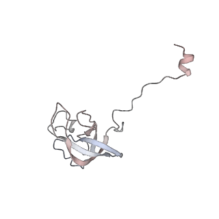 20057_6ogg_Q_v1-2
70S termination complex with RF2 bound to the UGA codon. Rotated ribosome with RF2 bound (Structure IV).