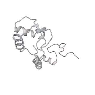 20057_6ogg_R_v1-1
70S termination complex with RF2 bound to the UGA codon. Rotated ribosome with RF2 bound (Structure IV).