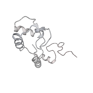 20057_6ogg_R_v1-2
70S termination complex with RF2 bound to the UGA codon. Rotated ribosome with RF2 bound (Structure IV).