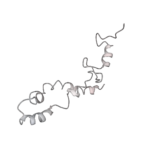 20057_6ogg_S_v1-2
70S termination complex with RF2 bound to the UGA codon. Rotated ribosome with RF2 bound (Structure IV).