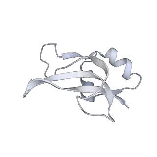 20057_6ogg_U_v1-2
70S termination complex with RF2 bound to the UGA codon. Rotated ribosome with RF2 bound (Structure IV).