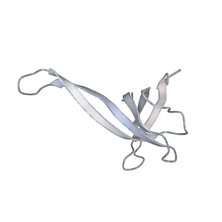 20057_6ogg_V_v1-2
70S termination complex with RF2 bound to the UGA codon. Rotated ribosome with RF2 bound (Structure IV).