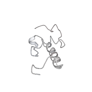 20057_6ogg_W_v1-2
70S termination complex with RF2 bound to the UGA codon. Rotated ribosome with RF2 bound (Structure IV).