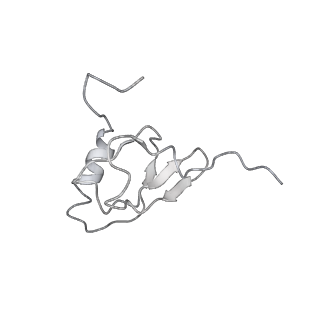 20057_6ogg_X_v1-2
70S termination complex with RF2 bound to the UGA codon. Rotated ribosome with RF2 bound (Structure IV).