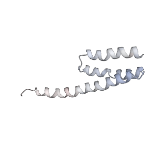 20057_6ogg_Y_v1-2
70S termination complex with RF2 bound to the UGA codon. Rotated ribosome with RF2 bound (Structure IV).