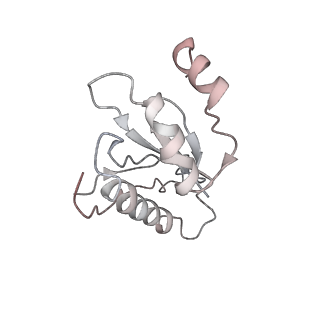 20057_6ogg_a_v1-2
70S termination complex with RF2 bound to the UGA codon. Rotated ribosome with RF2 bound (Structure IV).