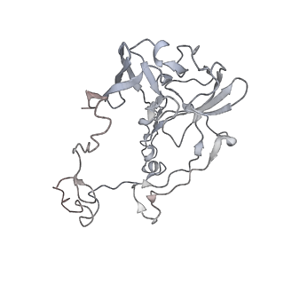 20057_6ogg_b_v1-2
70S termination complex with RF2 bound to the UGA codon. Rotated ribosome with RF2 bound (Structure IV).