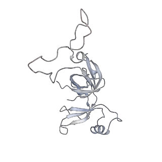 20057_6ogg_c_v1-2
70S termination complex with RF2 bound to the UGA codon. Rotated ribosome with RF2 bound (Structure IV).