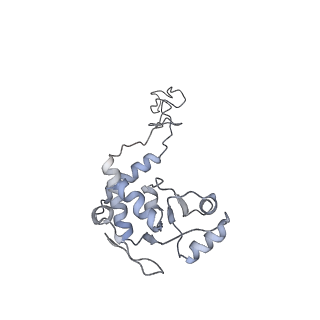 20057_6ogg_d_v1-2
70S termination complex with RF2 bound to the UGA codon. Rotated ribosome with RF2 bound (Structure IV).