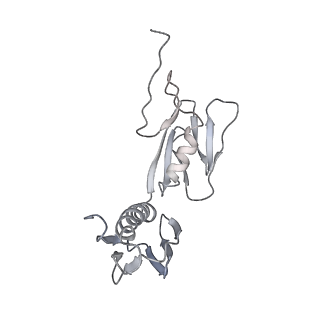 20057_6ogg_f_v1-1
70S termination complex with RF2 bound to the UGA codon. Rotated ribosome with RF2 bound (Structure IV).
