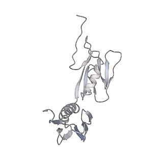 20057_6ogg_f_v1-2
70S termination complex with RF2 bound to the UGA codon. Rotated ribosome with RF2 bound (Structure IV).