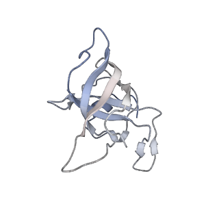 20057_6ogg_k_v1-2
70S termination complex with RF2 bound to the UGA codon. Rotated ribosome with RF2 bound (Structure IV).