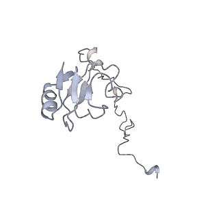 20057_6ogg_l_v1-2
70S termination complex with RF2 bound to the UGA codon. Rotated ribosome with RF2 bound (Structure IV).