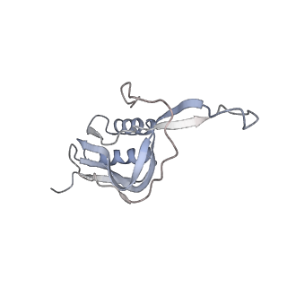 20057_6ogg_m_v1-2
70S termination complex with RF2 bound to the UGA codon. Rotated ribosome with RF2 bound (Structure IV).