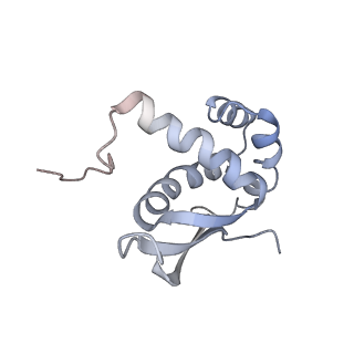 20057_6ogg_n_v1-2
70S termination complex with RF2 bound to the UGA codon. Rotated ribosome with RF2 bound (Structure IV).