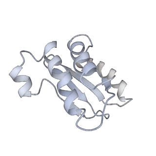 20057_6ogg_o_v1-2
70S termination complex with RF2 bound to the UGA codon. Rotated ribosome with RF2 bound (Structure IV).