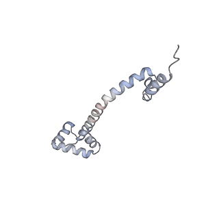 20057_6ogg_q_v1-2
70S termination complex with RF2 bound to the UGA codon. Rotated ribosome with RF2 bound (Structure IV).