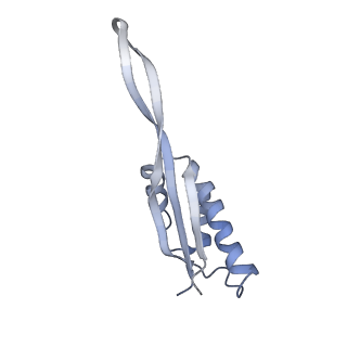 20057_6ogg_s_v1-2
70S termination complex with RF2 bound to the UGA codon. Rotated ribosome with RF2 bound (Structure IV).