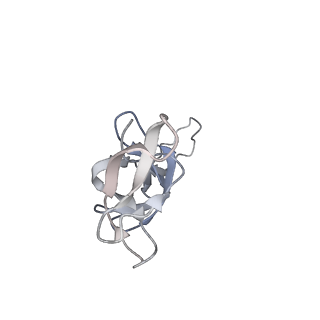 20057_6ogg_u_v1-1
70S termination complex with RF2 bound to the UGA codon. Rotated ribosome with RF2 bound (Structure IV).