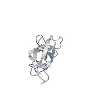 20057_6ogg_u_v1-2
70S termination complex with RF2 bound to the UGA codon. Rotated ribosome with RF2 bound (Structure IV).