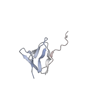 20057_6ogg_w_v1-2
70S termination complex with RF2 bound to the UGA codon. Rotated ribosome with RF2 bound (Structure IV).