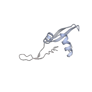 20057_6ogg_x_v1-2
70S termination complex with RF2 bound to the UGA codon. Rotated ribosome with RF2 bound (Structure IV).