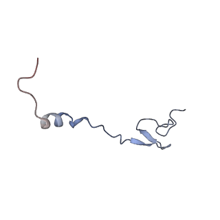 20058_6ogi_B_v1-1
70S termination complex with RF2 bound to the UAG codon. Rotated ribosome conformation (Structure V)