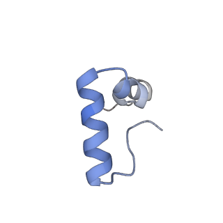 20058_6ogi_D_v1-2
70S termination complex with RF2 bound to the UAG codon. Rotated ribosome conformation (Structure V)