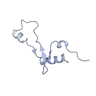 20058_6ogi_E_v1-1
70S termination complex with RF2 bound to the UAG codon. Rotated ribosome conformation (Structure V)
