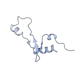 20058_6ogi_E_v1-2
70S termination complex with RF2 bound to the UAG codon. Rotated ribosome conformation (Structure V)