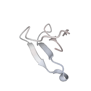 20058_6ogi_F_v1-2
70S termination complex with RF2 bound to the UAG codon. Rotated ribosome conformation (Structure V)