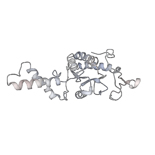 20058_6ogi_G_v1-1
70S termination complex with RF2 bound to the UAG codon. Rotated ribosome conformation (Structure V)