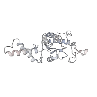 20058_6ogi_G_v1-2
70S termination complex with RF2 bound to the UAG codon. Rotated ribosome conformation (Structure V)